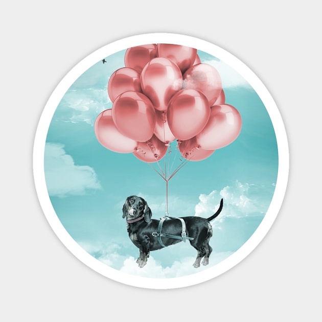 Dachshund Red Balloons Magnet by Vin Zzep